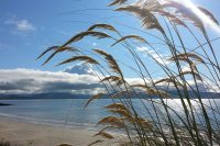 Ballinskelligs beach. Picture by Elena Cristofanon