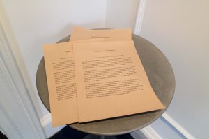 Natasha Pike's "Lost in the Chaos"